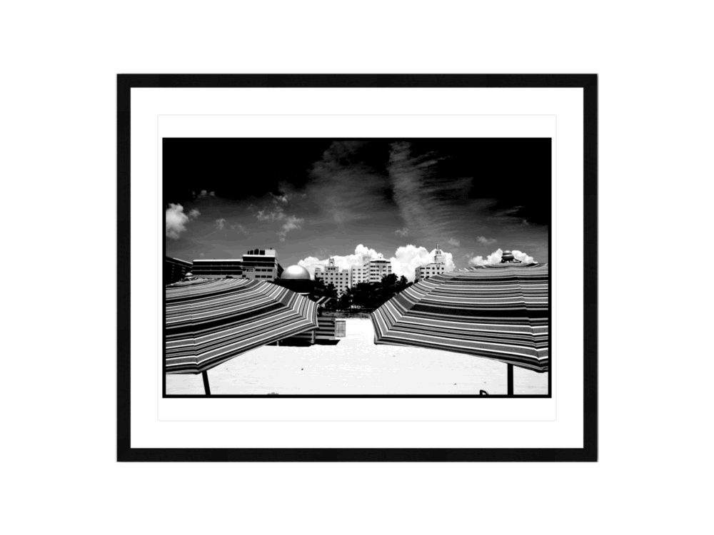 Shop Primary Image